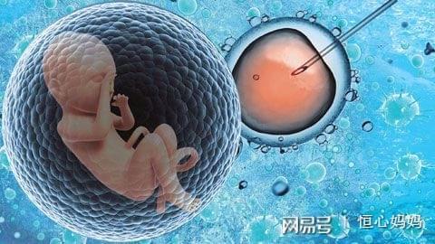 冷冻室